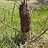 beekeeper2