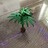 canngrow canngrow
