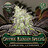 greenpointseed
