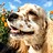 myfriendis410 myfriendis410